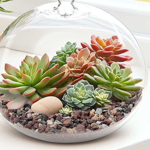 5lbs Terrarium Rocks for Pots Indoor, Succulent, Cactus, Bamboo, Bonsai Tree, 1/5 Inch Rocks for Planters Drainage, Mixed Color Small Lava Rocks for Top-Dressing-PawvioPets