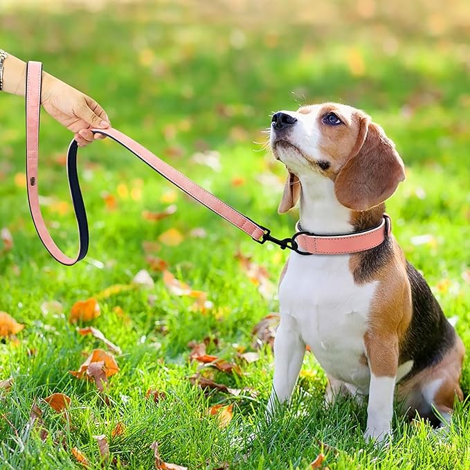 Didog Soft Padded Leather Dog Collar and Leash Set,Pink Breathable Pet Collars with 4FT PU Leather Dog Leash for Small Medium Large Dogs, Pink, M-PawvioPets