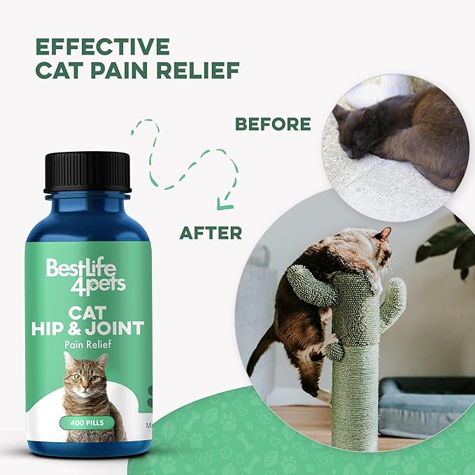 Cat Hip and Joint Pain Relief Supplement, Cat Arthritis Pain Relief, Heal from Sprains, Inflammation and Injuries, Improve Mobility, Natural Easy-to-Swallow, Odorless, Tasteless, 400 Pills-PawvioPets