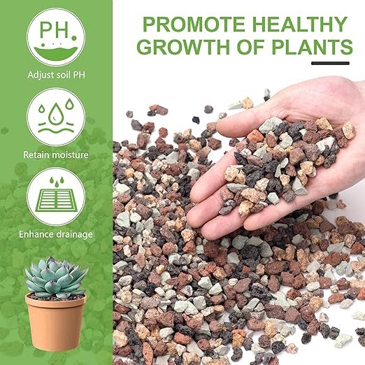 5lbs Small Rocks for Terrarium, Planters Drainage, 1/5 Inch Lava Rock for Bonsai Tree, Decorative Gravel for Succulents, Bamboo, Cactus, Mixed Color-PawvioPets