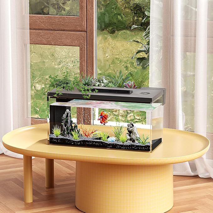 3.7 Gallon Betta Fish Tank self Cleaning,Smart Aquarium Aquarium kit with Filter Light Water Pump-PawvioPets
