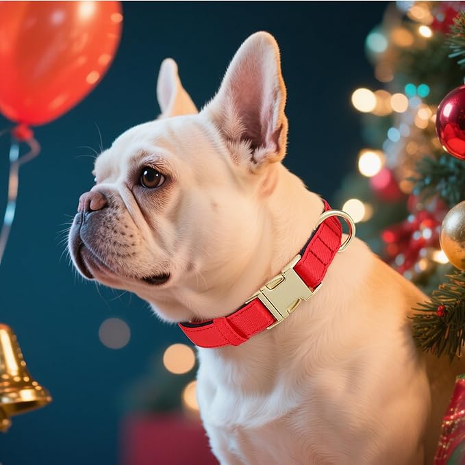 Didog Soft Padded Dog Collar for Large Dogs, Colorful and Durable Pet Collar with Quick Release Buckle, Light and Breathable for Daily Walking, Red, L-PawvioPets