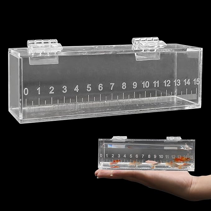 Fish Viewing Box Container with Lid and Scale, Acrylic Portable Fishing Mini Aquarium, Small Fish Breeder Hatching Boxes, Safe Tank Case for Breeding Egg Photo Isolation Outdoor Indoor-PawvioPets