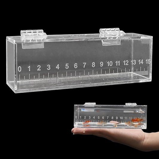 Fish Viewing Box Container with Lid and Scale, Acrylic Portable Fishing Mini Aquarium, Small Fish Breeder Hatching Boxes, Safe Tank Case for Breeding Egg Photo Isolation Outdoor Indoor-PawvioPets