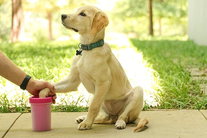 Dexas Pink Medium Dog Paw Cleaner, MudBuster - Premium Quality Pet Supplies and Dog Accessories for Dogs, Easy to Use, Mess Free, BPA Free, Patented Product-PawvioPets