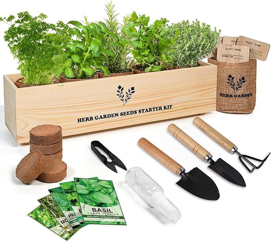 5 Herb Seeds Garden Starter Kit with Complete Planting Kit & Wooden Flower Box, Growing into Basil, Parsley, Rosemary, Thyme, Mint for Kitchen Windowsill Herb Garden DIY-PawvioPets