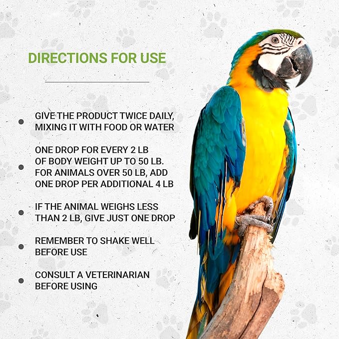 Birds Feathers | Natural Herbal Dietary Pet Supplement for Birds | Support Healthy Feathers | Alcohol-Free Extract, Dandelion Root, Calendula, Alfalfa, Peppermint, Fennel 2 oz-PawvioPets