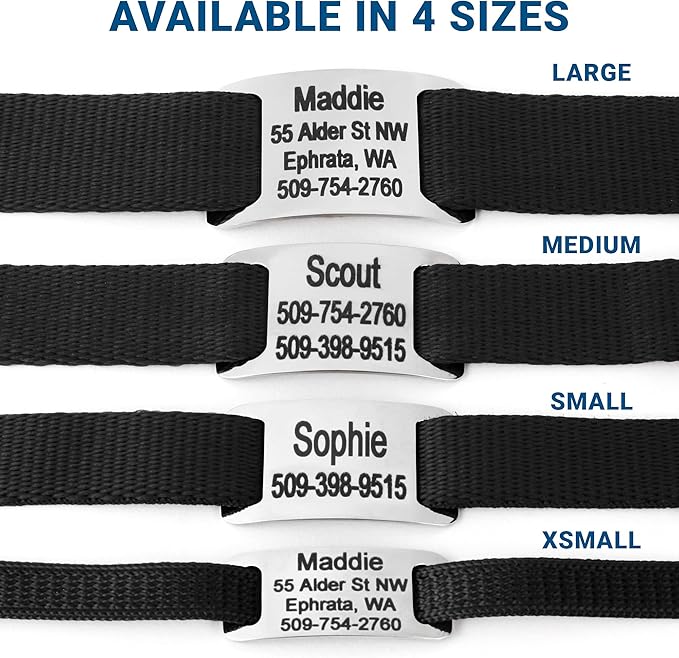 GoTags Personalized Dog Collar with Nameplate, Adjustable Dog Collar with Custom Engraved Slide On Pet ID Tag in Stainless Steel, Silent, No Noise Dog Tag for Large Medium and Small (Black, Large)-PawvioPets
