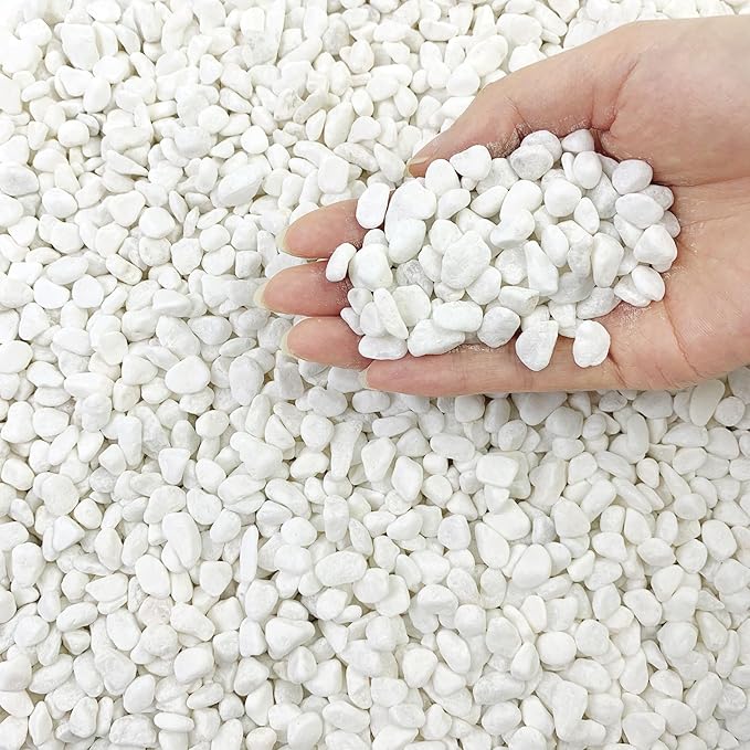 5lbs Natural White Pea Gravel Pebbles for Succulent Cactus, 3/8 Inch White Rocks for Plants Indoor, Vase Fillers, Bowl, Landscaping and Outdoor Garden Decorative White Stones-PawvioPets
