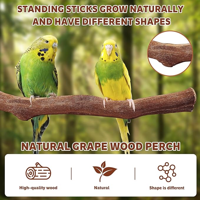 5PCS Bird Perch Stand Natural Wooden Parrot Stand Branch,3 Grape Wood Perch,2 Platform,Paw Grinding Fork Parakeet Chewing Stick Exercise Training Branches for Cockatiels,Small Birds-PawvioPets