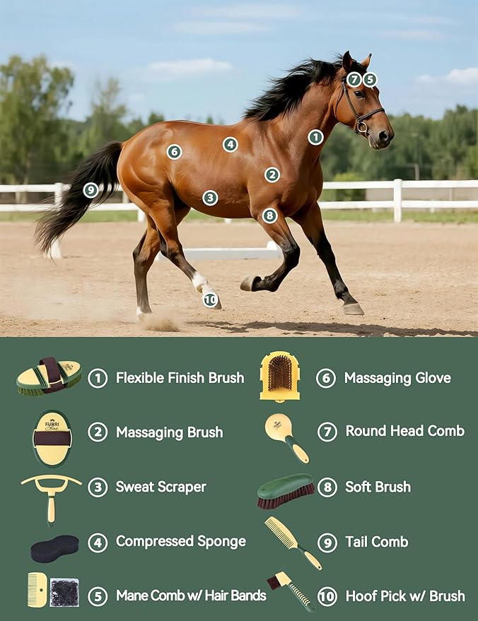 11PCS Horse Grooming Kit Curry Comb Sweat Scraper Horse Bathing Supplies Grooming Tools with Storage Bag Pasture Glow-PawvioPets