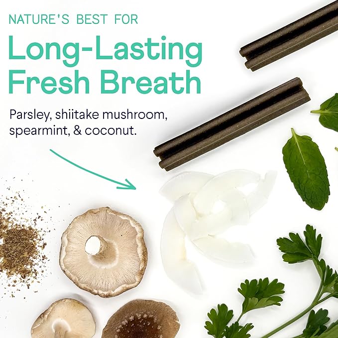 Finn Plaque Patrol Dental Chews | Triple-Action Defense Against Plaque, Tartar, and Bad Breath | for Medium/Large Dogs, 25+ lbs-PawvioPets