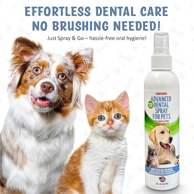 Dog Dental Spray Removes Tartar, Plaque and Freshens Breath Instantly. The Most Advanced Dental Spray for Healthy Teeth, Gums and Oral Health Care for Your Dog, Cat or Pet - 1-8 oz. Bottle-PawvioPets