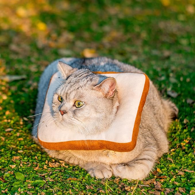 Amakunft Adjustable Cat Cone Collar Soft, Cat Recovery Collar, Cone for Cat After Surgery, Cat Neck Cone, Elizabethan Collar for Cat and Kitten-PawvioPets