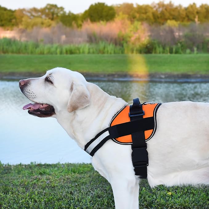 Dogline Dog Harness, Reflective No-Pull Adjustable Vest with Handle for Walking, Training, Breathable, No - Choke Harness for Small, Medium or Large Dogs Room for Patches Girth 15 to 18 in Orange-PawvioPets