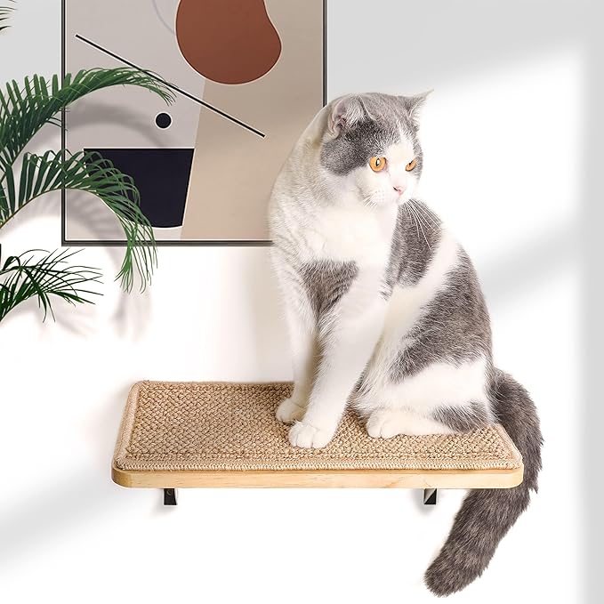 Cat Floating Wall Shelf with Scratching Mat, 1PC 9.7X16.6 Inch Large 1 Inch Thick Wood Cat Window Perches Hanging Shelves Wall Mounted Beds for Sleeping, Playing, Climbing, Support to 30 LBS-PawvioPets