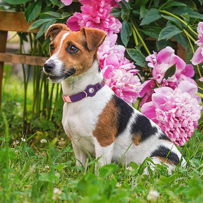 AirTag Dog Collar for Small Medium Large Breed - Adjustable Cute Pattern Dog Collar with Airtag Holder - Soft Leather Tracker GPS Apple Air Tag Pet Collars (X-Small, 9"-12" Neck Fit, Peonies)-PawvioPets