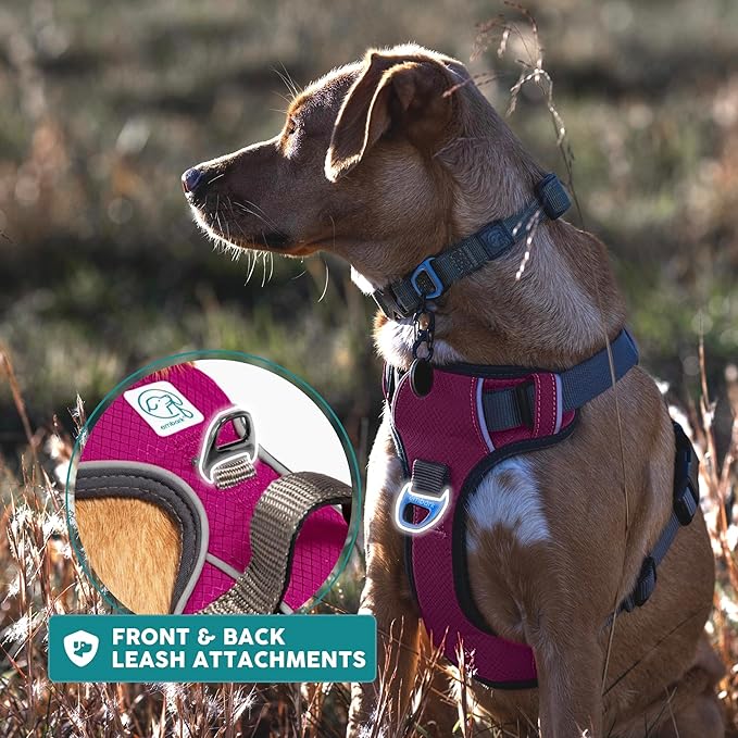 Embark Adventure Dog Harness, Reflective Trim No Pull Dog Harness for Large Dogs - Military Grade Nylon, Front Clip with Gel Lined Handle.-PawvioPets