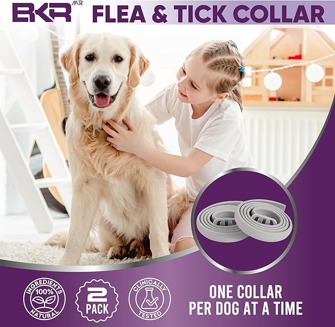 Flea Collar for Dogs – 2 Pack 16 Month Natural Flea & Tick Prevention Dog Flea Collar Adjustable One Size Fits All, Safe and Effective-PawvioPets