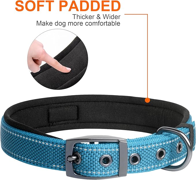 Fida Heavy Duty Dog Collar, Ultra Comfortable Soft Neoprene Padded, Adjustable Reflective Nylon Pet Collar with Durable Metal Belt Buckle for Small Breeds (S, Blue)-PawvioPets
