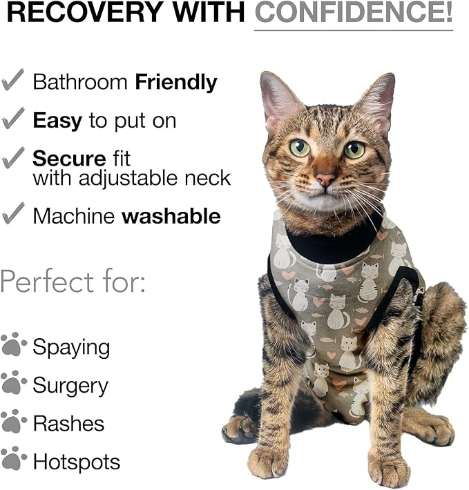 Bellyguard Cat Recovery Suit Female and Male, Comfy Onesie After Surgery, Kitten Clothes for Post-Op Care, Neuter and Spay Healing Outfits for Cats Only – Comfortable Kitten and Adult Cone Alternative-PawvioPets