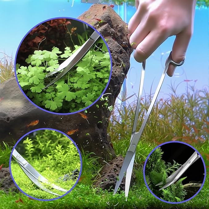 5 Pcs Reptile Feeding Tools Set with Silicone Tips - Extra Long Straight&Curved Tongs, Spoons, Scissors - Stainless Steel Terrarium Feeder Kit for Bearded Dragons, Lizards, Snake, Spiders, Aquarium-PawvioPets