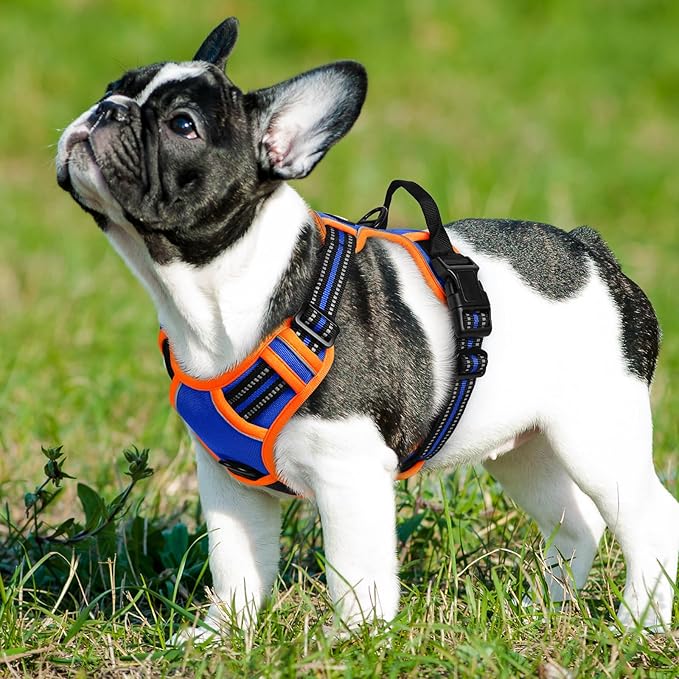 Eagloo Dog Harness Small Sized Dog, No Pull Service Vest with Reflective Strips and Control Handle, Adjustable and Comfortable for Walking, No Choke Pet Harness with 2 Metal Rings, Blue & Orange, S-PawvioPets