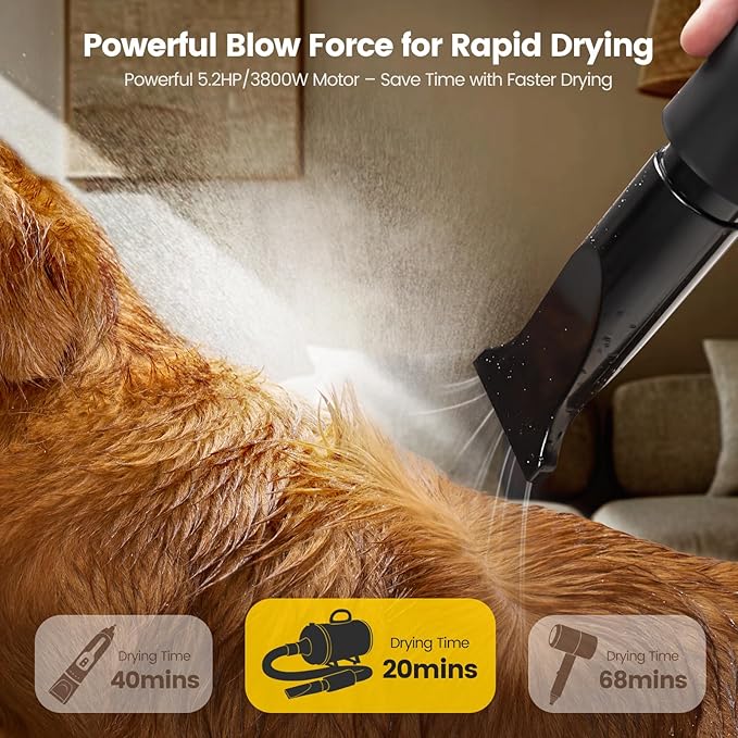 Dog Dryer, 5.2HP/3800W High Velocity Dog Hair Dryer with 4 Nozzles, Stepless Adjustable Speed & Temperature Control, Low Noise Professional Dog Grooming Dryer (Black)-PawvioPets