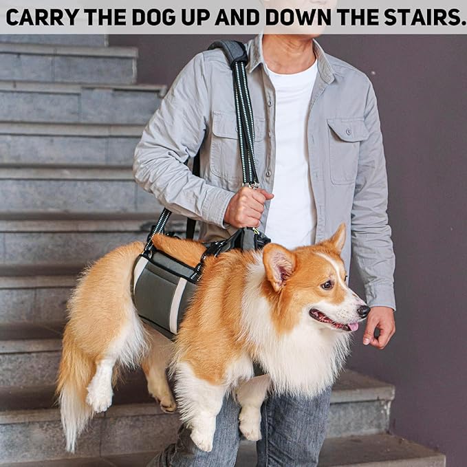 COODEO Mobility Dog Lift Harness, Emergency Carry Sling, Pet Rear Leg Support Rehabilitation Lifts Vest, Dog Carrier for Senior Dogs Joint Injuries, Arthritis (Military Green, XL)-PawvioPets