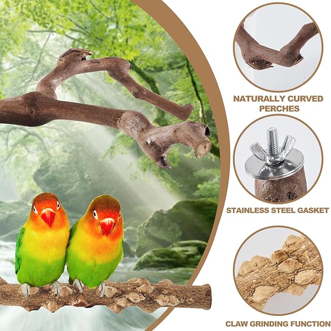 6-Piece Bird Perch Set - Natural Wood Grape Sticks, Paw Grinding Forks, Bird Stand & Toys for Parakeets, Cockatiels, Conure, Budgies-PawvioPets