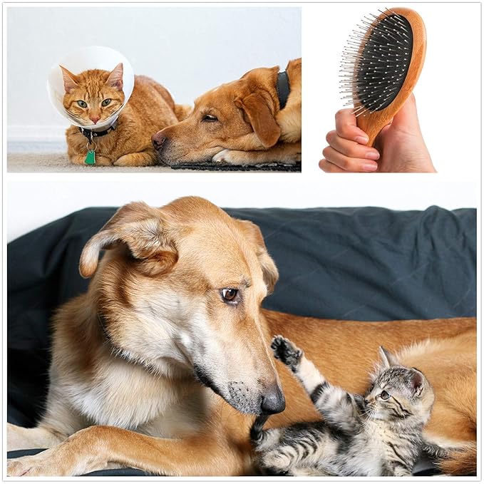 ClumsyPets Dog & Cat Ball Pin Slicker Grooming Brush with Bamboo Handle for Pets Massage Bath and Removes Mats Loose Fur Hairs-PawvioPets