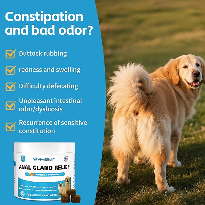 Cat Constipation Relief - Chewable Tablets - with Pumpkin, Psyllium Husk, Prebiotics & Probiotics - Supports Gut Hydration, Bowel Regularity & Immune Health - 120 Tablets-PawvioPets