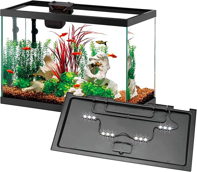 Aqueon 20 Gallon Aquarium Starter Kit with SmartClean Filtration and LED Lighting for Tropical Freshwater Fish-PawvioPets
