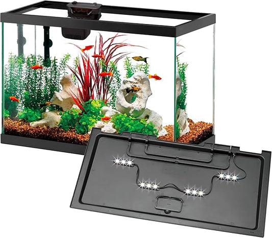 Aqueon 20 Gallon Aquarium Starter Kit with SmartClean Filtration and LED Lighting for Tropical Freshwater Fish-PawvioPets