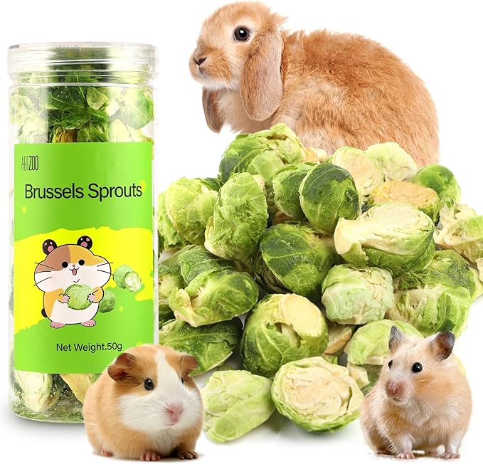 Abizoo Freeze Dried Brussels Sprouts Rabbit and Hamster Chew Treats Resealable Jar for Hamsters Bunny Guinea Pigs Groundhogs Natural Fiber Vitamin Snacks-PawvioPets