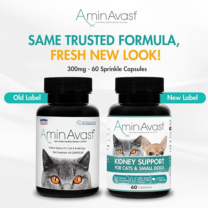 AminAvast Small Dogs & Cat Kidney Support - Promotes Healthy Kidney Support in Cats & Small Dogs - 300mg, 60 Capsule-PawvioPets