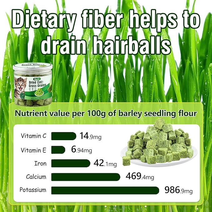 50g Cat Grass Teething Treat, Delicious Cat Grass Teething Snack Edible Cats Chew Toy for Teeth Cleaning and Hairball Removal-PawvioPets