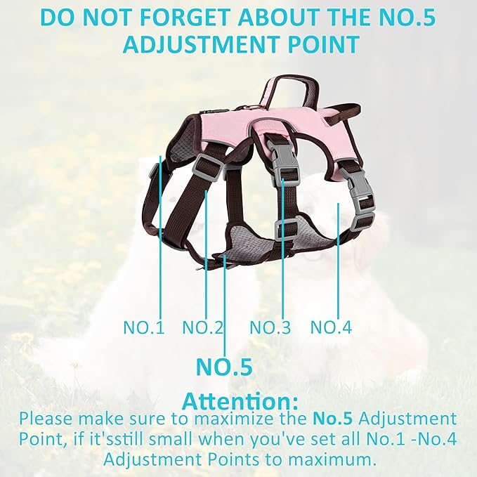 Escape Proof Dog Harness, No Pull Reflective Adjustable Vest with Easy Control Lift Handle, No Choke Soft Padded Breathable Full Body Pet Harness for Walking Hiking and Training (Pink, Small)-PawvioPets