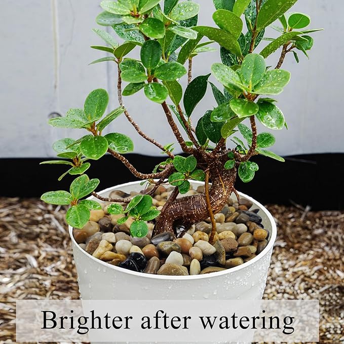 2lbs Aquarium Rocks, 2/5 Inch Pea Gravel for Indoor Plants, Decorative River Rocks for Fish Tank Succulent Vase Plant Soil Cover and Outdoor Landscaping-PawvioPets