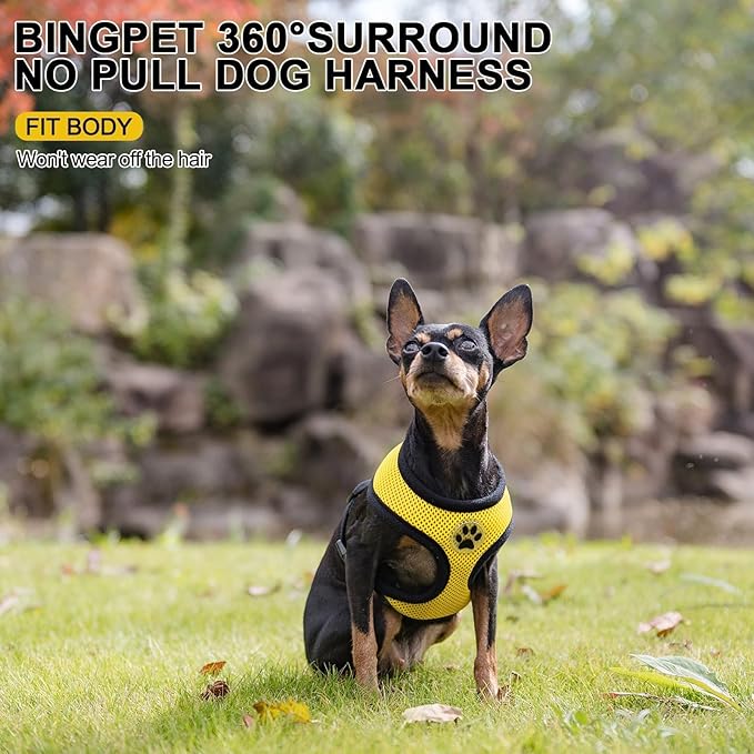 BINGPET No Pull Dog Harness, Soft Mesh Breathable All Weather Vest, Safety Protection Design, Durable Adjustable Step-in Easy Walk Harness for Small Dogs (Yellow, XS)-PawvioPets
