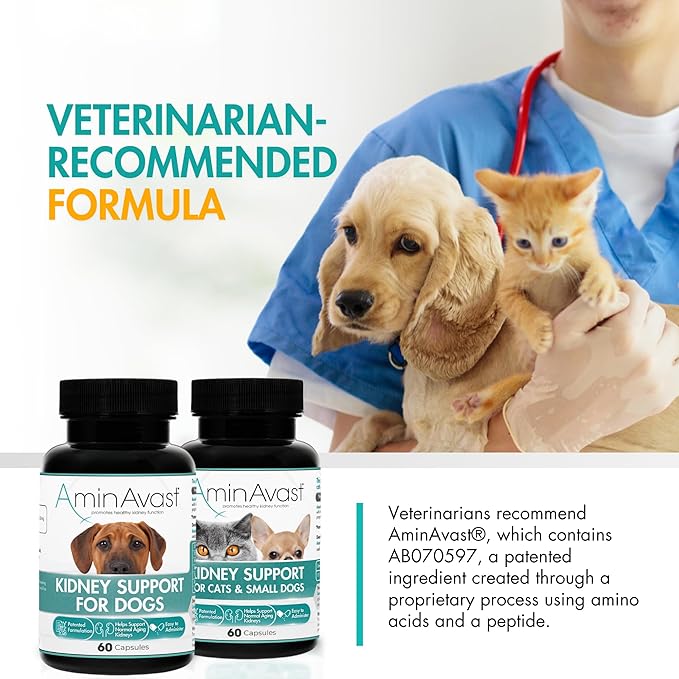 AminAvast Small Dogs & Cat Kidney Support - Promotes Healthy Kidney Support in Cats & Small Dogs - 300mg, 60 Capsule-PawvioPets