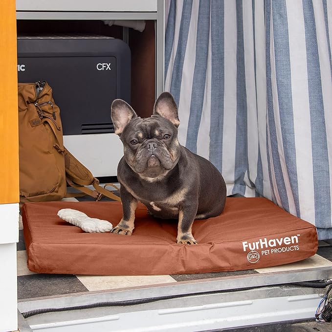 Furhaven Water-Resistant Cooling Gel Dog Bed for Medium/Small Dogs w/ Removable Washable Cover, For Dogs Up to 35 lbs - Indoor/Outdoor Logo Print Oxford Polycanvas Mattress - Chestnut, Medium-PawvioPets