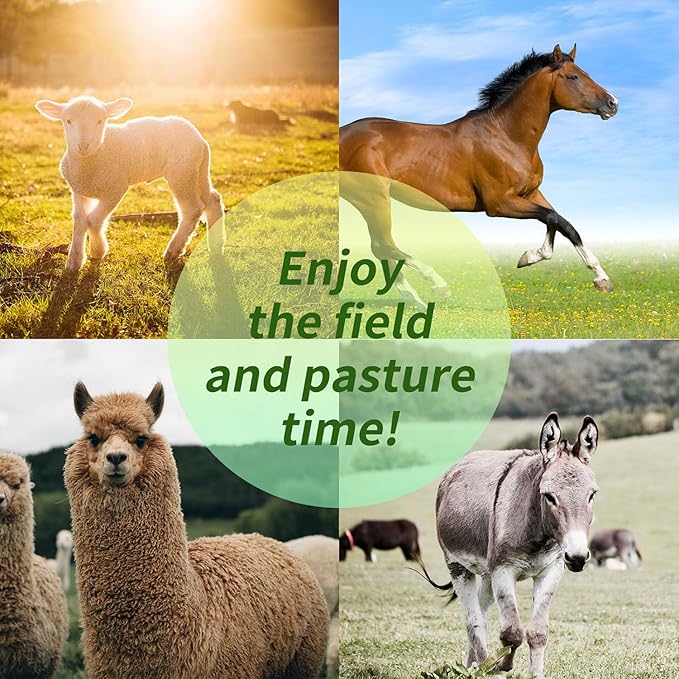 17-Inch Equine Ball for Play & Training - Anti-Burst, Mega Horse Soccer Ball for Goat, Donkey-PawvioPets