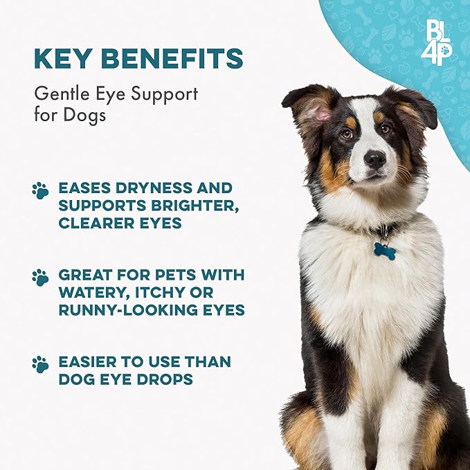 Dog Eye Care & Infection Treatment, Natural Dog Supplements for Conjunctivitis, Swelling, Dry Eyes and Discharge, Easy to Use, No More Struggle with Canine Drops, 400 Small Pills-PawvioPets