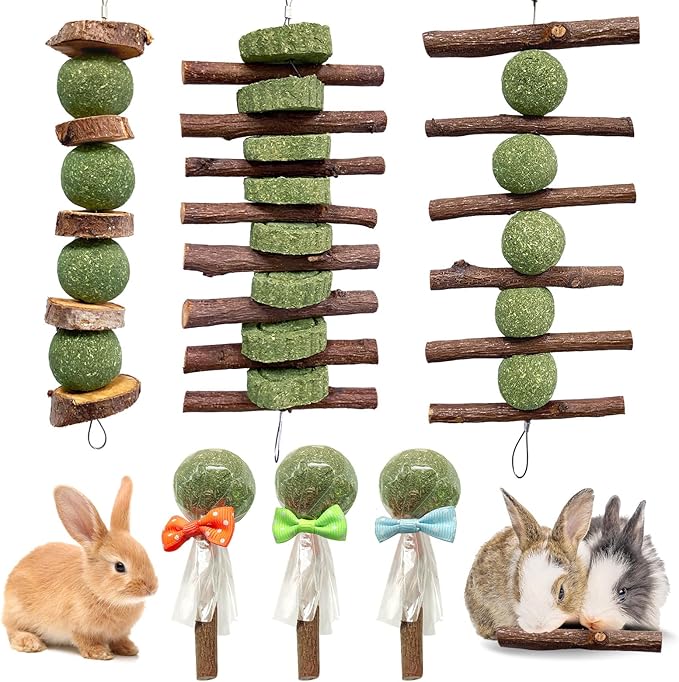 3 Pcs Bunny Chew Toys with 3 Pcs Rabbit Chew Lollipop for Teeth Grinding, Improve Dental Health, Treats for Rabbits Guinea Pigs Chinchillas Bunnies Hamsters-PawvioPets