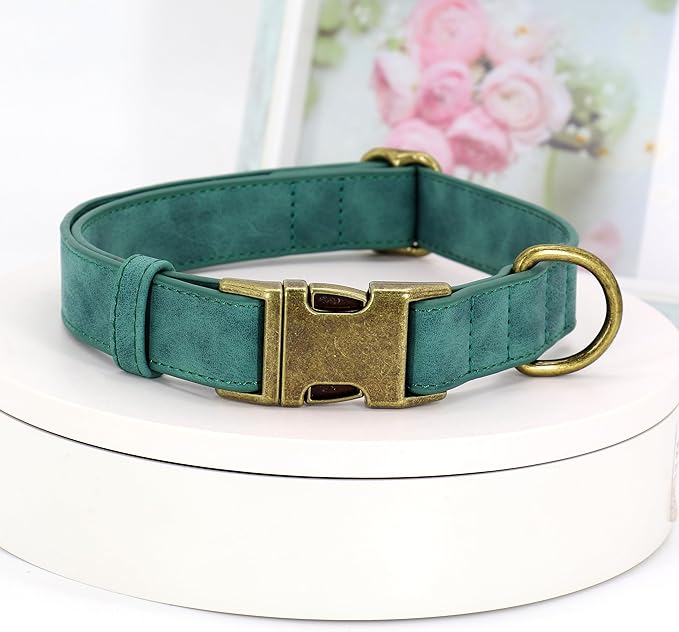 Didog Soft PU Leather Dog Collar, Stylish Quick Released Dog Collars for Small Dogs, Easy Clean Adjustable Pet Collar for Daily Walking, Green, S Fit 10-16" Neck-PawvioPets