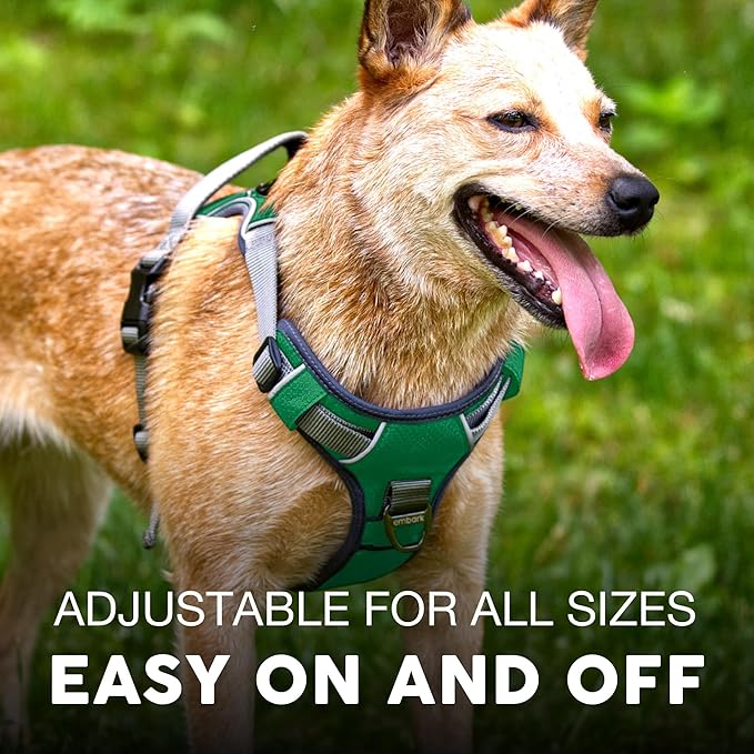 Embark Adventure Dog Harness, Reflective Trim No Pull Dog Harness Medium Sized Dogs - Military Grade Nylon, Front Clip with Gel Lined Handle.-PawvioPets