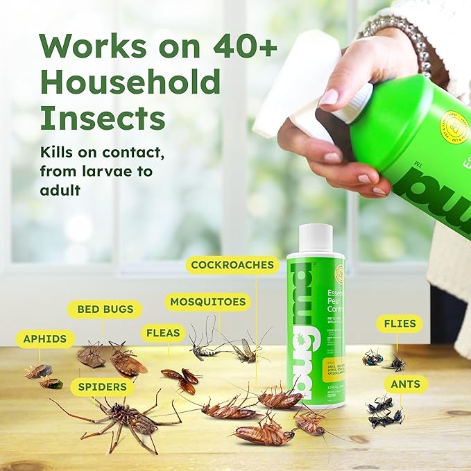 BugMD Ant Killer & Bug Spray Concentrate - Indoor Cockroach and Roach Killer, Spider Spray for Home, Fly and Insect Defense, Essential Oils, Plant-Powered, Eco-Friendly Pest Control - 3.7 Oz-PawvioPets