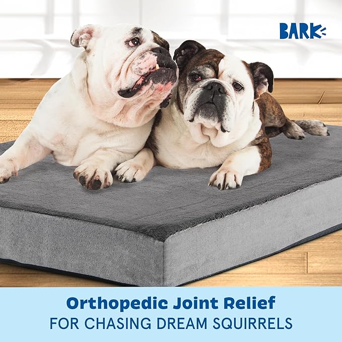 Barkbox Orthopedic Dog Bed with Memory Foam, Premium Comfort for Dogs and Puppies, Dog Bed for Joint Relief and Restful Sleep, Durable and Easy to Clean - Grey, XXL-PawvioPets