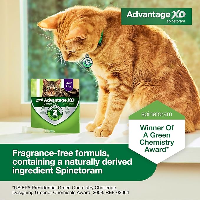 Advantage XD Large Cat Flea Prevention & Treatment For Cats over 9lbs. | 2-Topical Doses, 2-Months of Protection Per Dose-PawvioPets
